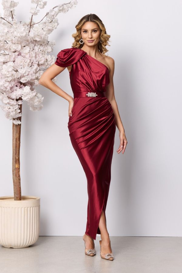 Sublime Burgundy Dress